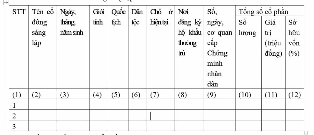 Mẫu điều lệ Công ty cổ phần mới nhất 1