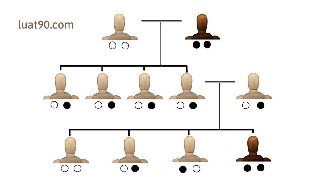 Distribution of inheritive property without a will in Vietnam 3