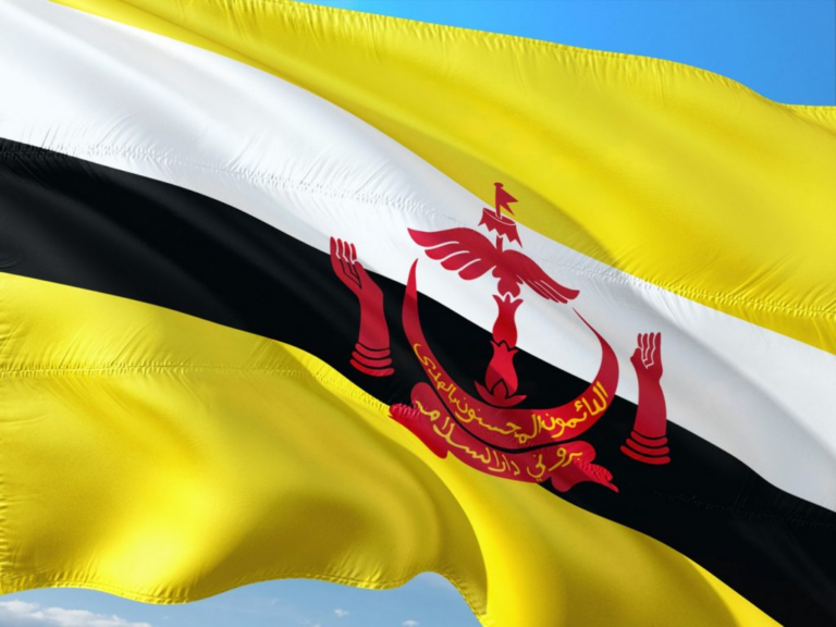 Thủ tục đăng ký nhãn hiệu tại Brunei mới nhất 3